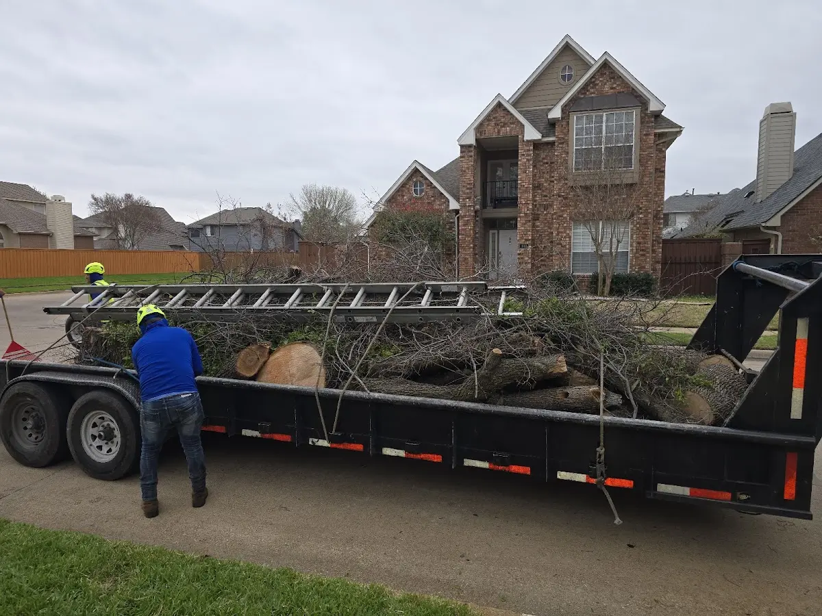 Expert Lot Clearing with proper safety equipment in Sondheimer